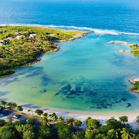 Swilodge Vue Sur Mer ! Petit Dejeuner Et Location De Voiture Possible Le Moule Exterior photo